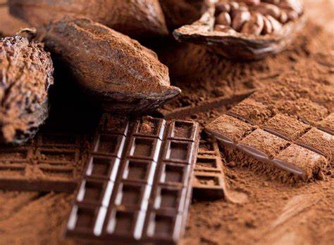 La Verdad sobre la Industria del Chocolate: Nutrición y Calidad
